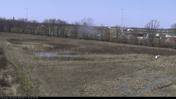 Cell 2_24-03-11_14-07-26-15