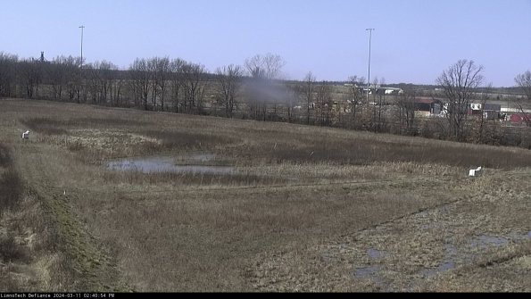 Cell 2_24-03-11_14-40-55-13