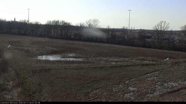 Cell 2_24-03-11_18-01-53-15