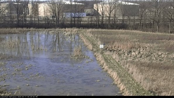 Cell 3 to 4_24-03-11_17-29-05-14