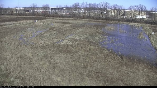 Cell 3_24-03-11_11-20-16-14