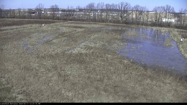 Cell 3_24-03-11_12-27-16-15