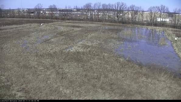 Cell 3_24-03-11_13-00-55-14