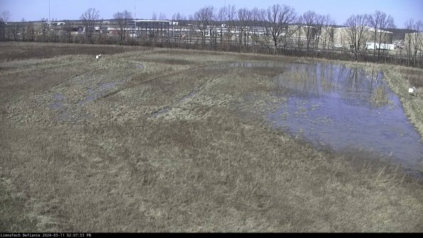 Cell 3_24-03-11_14-07-54-14