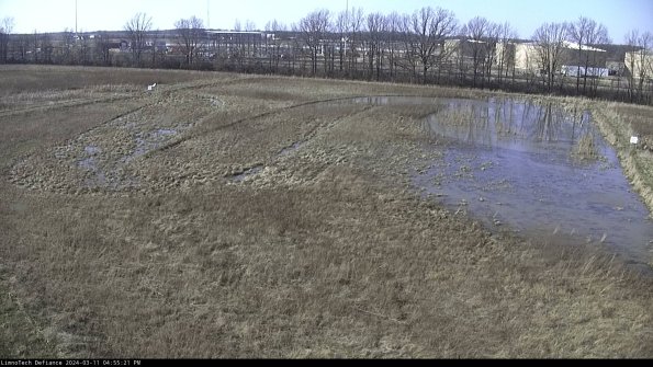 Cell 3_24-03-11_16-55-22-11