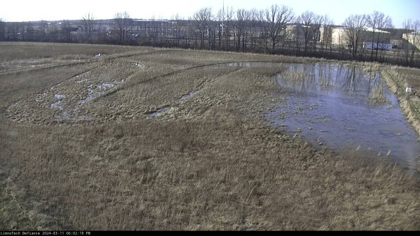 Cell 3_24-03-11_18-02-20-41