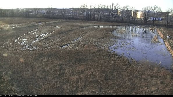 Cell 3_24-03-11_19-09-18-38