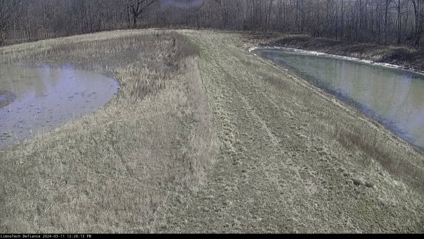 Cell 4 to Basin_24-03-11_12-28-14-14