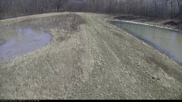 Cell 4 to Basin_24-03-11_13-01-53-16