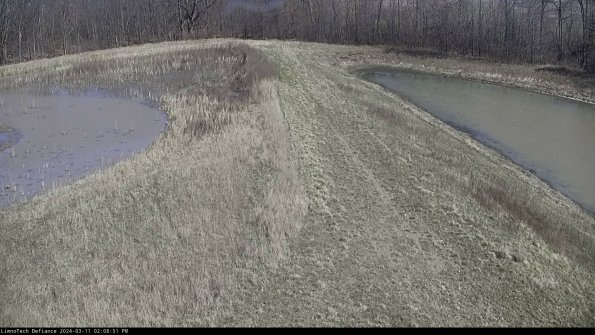 Cell 4 to Basin_24-03-11_14-08-52-13