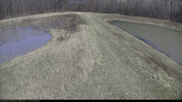 Cell 4 to Basin_24-03-11_15-15-51-14