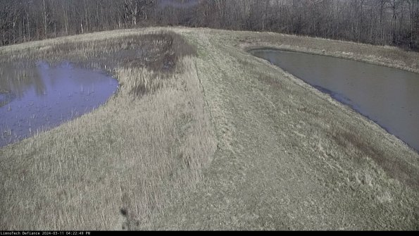 Cell 4 to Basin_24-03-11_16-22-50-14