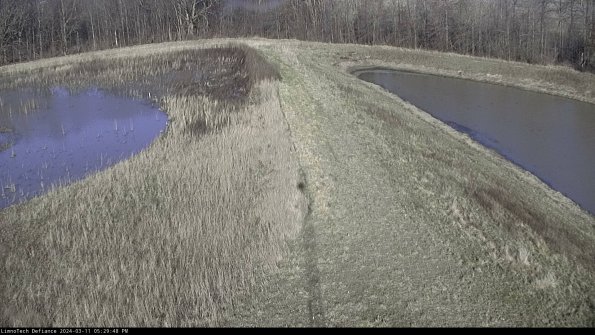 Cell 4 to Basin_24-03-11_17-29-49-15