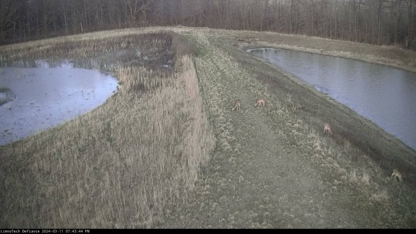 Cell 4 to Basin_24-03-11_19-43-45-16