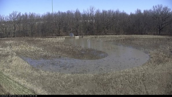 Cell 4_24-03-11_11-54-14-12