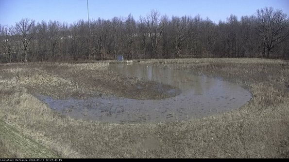 Cell 4_24-03-11_12-27-44-14