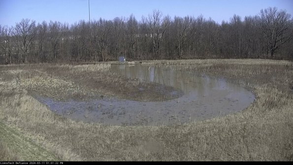 Cell 4_24-03-11_13-01-23-10