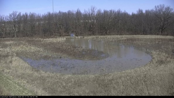 Cell 4_24-03-11_13-34-52-12