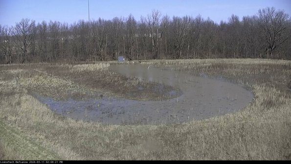 Cell 4_24-03-11_14-08-22-13