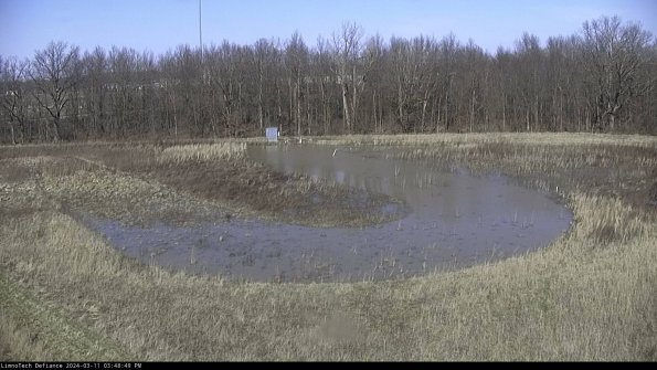 Cell 4_24-03-11_15-48-50-16