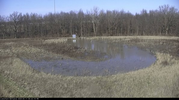 Cell 4_24-03-11_16-22-20-11