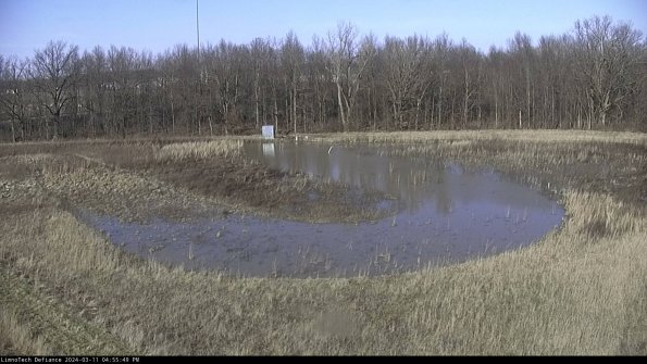 Cell 4_24-03-11_16-55-50-13