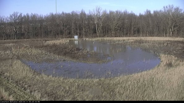 Cell 4_24-03-11_17-29-19-15