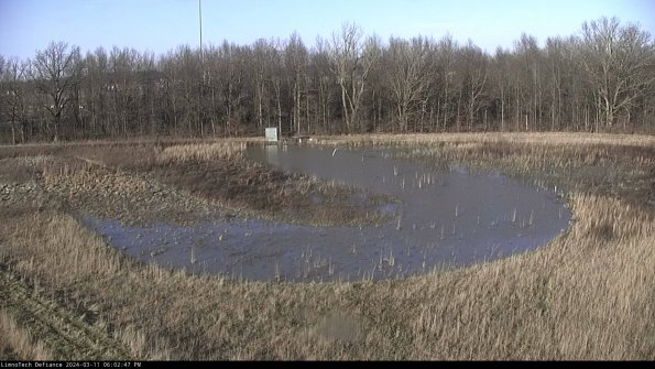 Cell 4_24-03-11_18-02-48-14