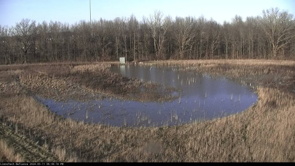 Cell 4_24-03-11_18-36-17-13