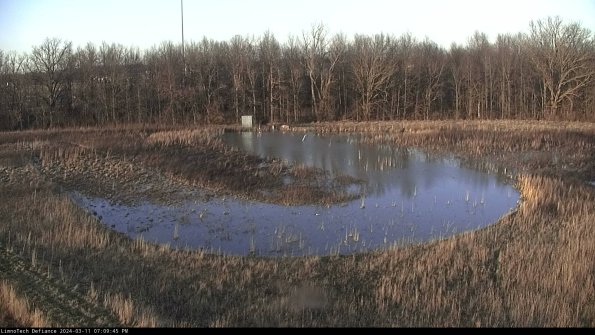 Cell 4_24-03-11_19-09-46-14