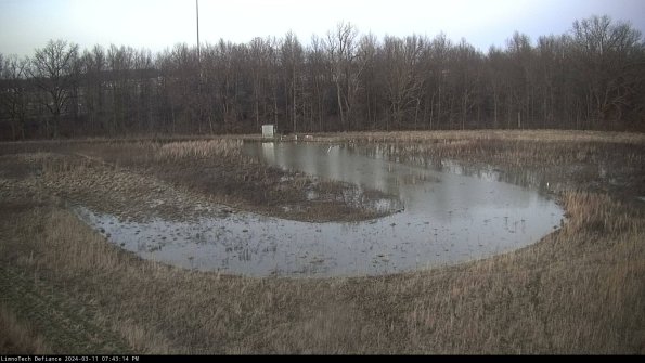 Cell 4_24-03-11_19-43-15-13