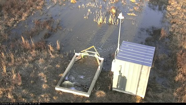 Flume_24-03-11_08-31-38-19