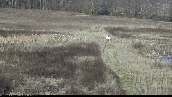 Cell 1 to 2_24-03-12_09-06-04-14