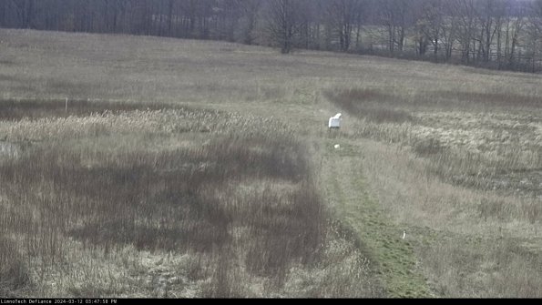 Cell 1 to 2_24-03-12_15-47-59-14