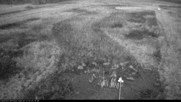 Cell 1_24-03-12_07-25-19-14