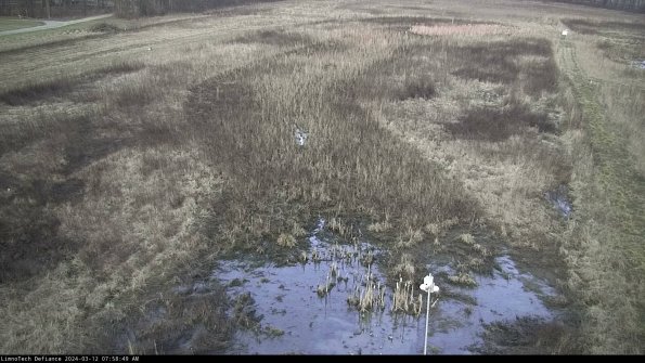 Cell 1_24-03-12_07-58-50-16