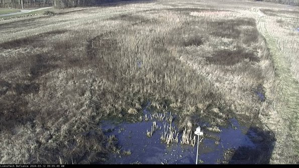 Cell 1_24-03-12_09-05-50-12