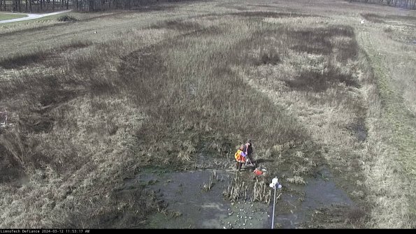 Cell 1_24-03-12_11-53-18-12