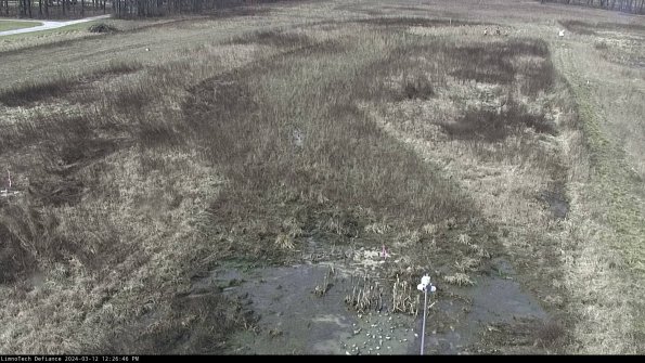 Cell 1_24-03-12_12-26-47-14