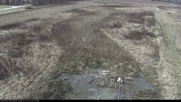 Cell 1_24-03-12_13-00-17-12