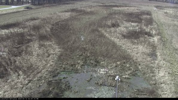 Cell 1_24-03-12_14-07-15-13