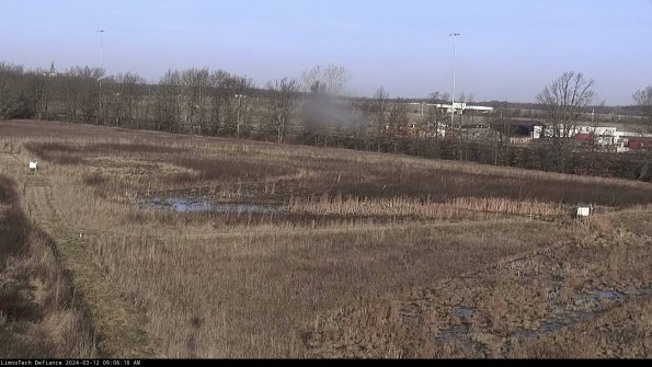 Cell 2_24-03-12_09-06-17-25