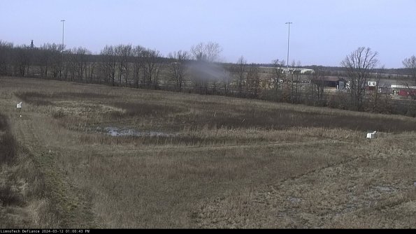 Cell 2_24-03-12_13-00-44-18