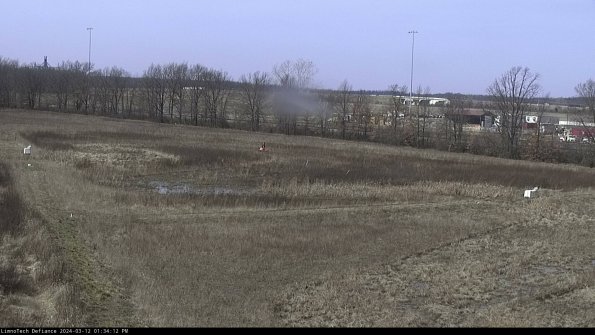 Cell 2_24-03-12_13-34-13-24