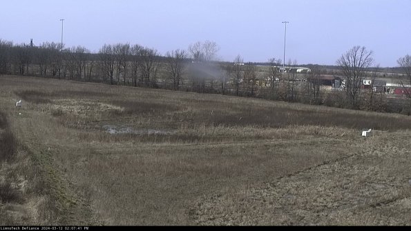 Cell 2_24-03-12_14-07-42-19