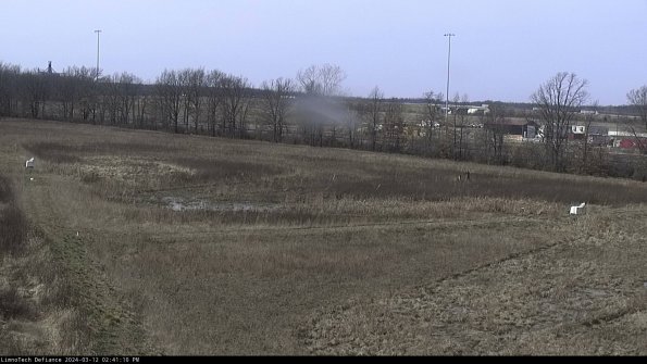 Cell 2_24-03-12_14-41-11-14