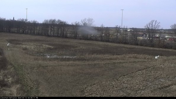 Cell 2_24-03-12_15-48-12-15