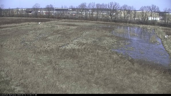 Cell 3_24-03-12_11-54-12-34