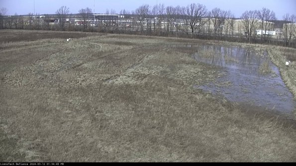 Cell 3_24-03-12_13-34-41-13