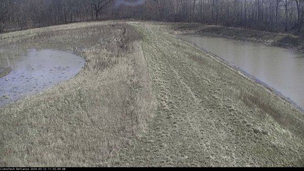 Cell 4 to Basin_24-03-12_11-55-10-13